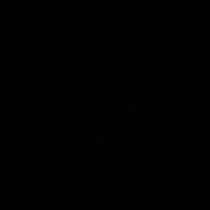 Meet your Posher, Allyson